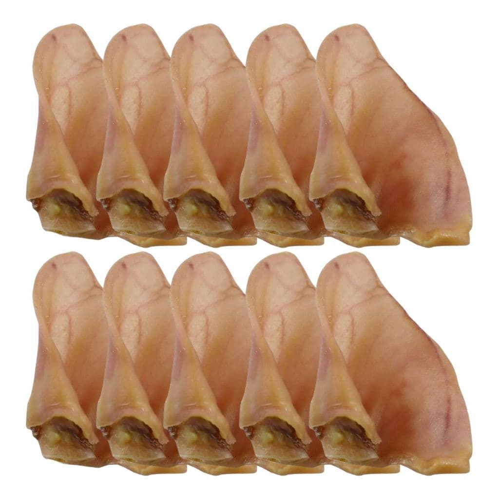 Kit 10 Orelha Suína Para Cães Mordedor Petisco Natural mastig