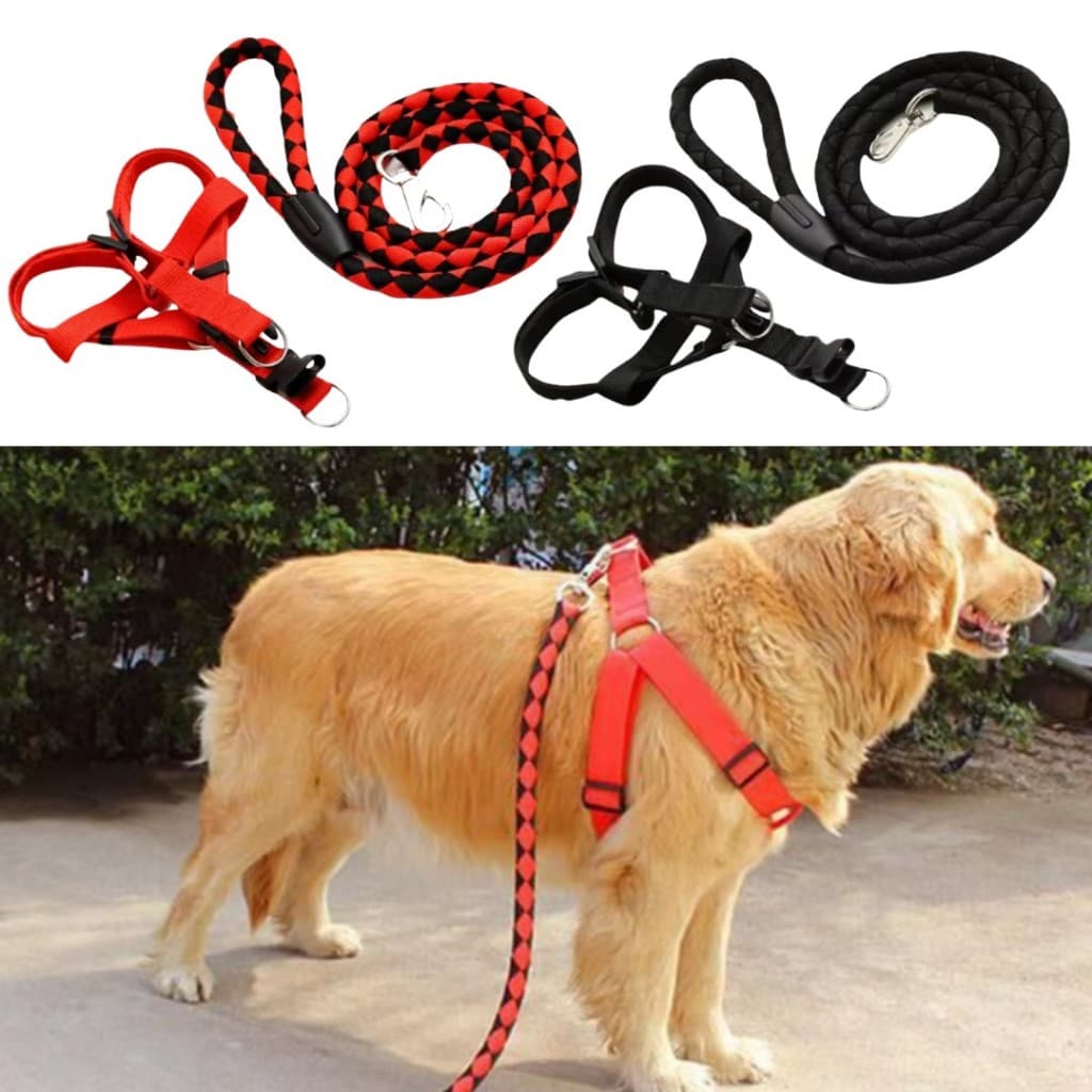 Kit Coleira Peitoral+Guia de Corda Reforçado Resistente Gancho de Metal Ajustável Confortável Cão Grande Médio Porte