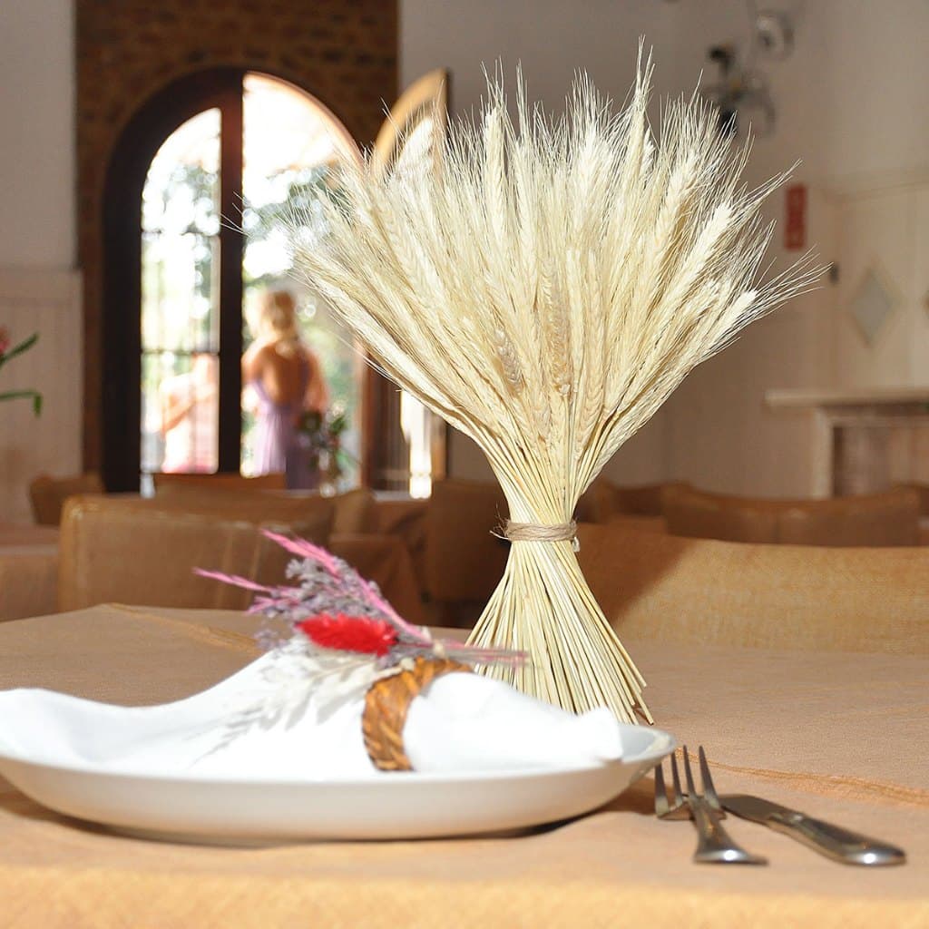 150 Hastes Trigo Natural Seco Desidratado Casamento Festas Lembrancinhas Enfeites Mesa Arranjos