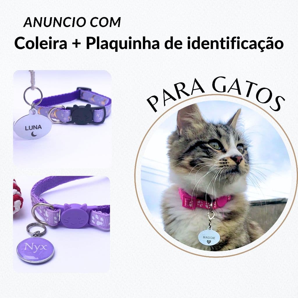 Coleira anti enforcamento com plaquinha de identificação