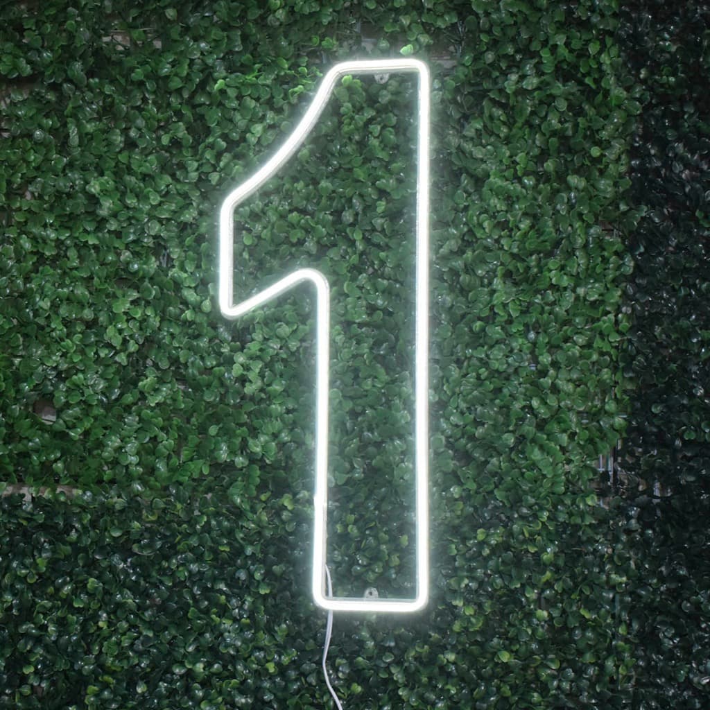 Luminária Led Neon Número 50cm Decoração Festa Aniversário Evento