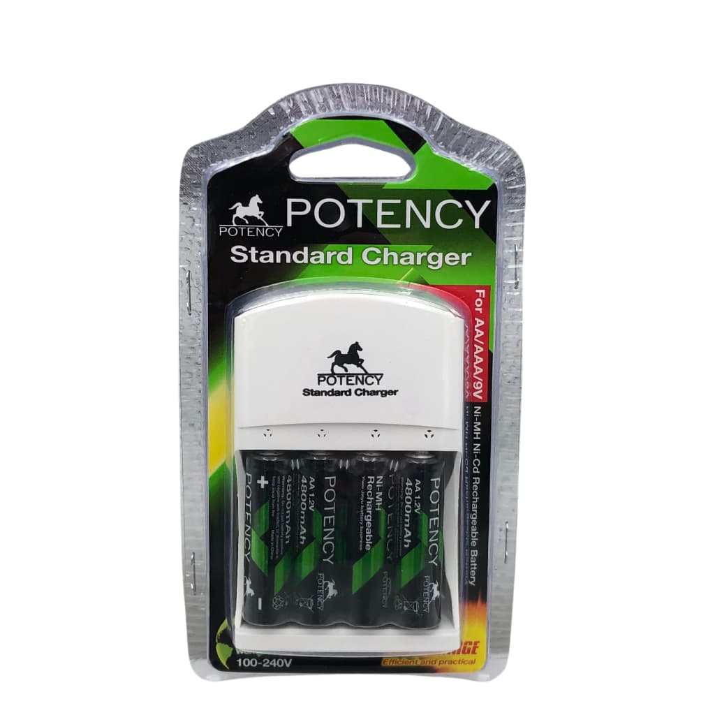 Kit Carregador + 4 Pilhas Aa 4800mah Carregadores de Bateria