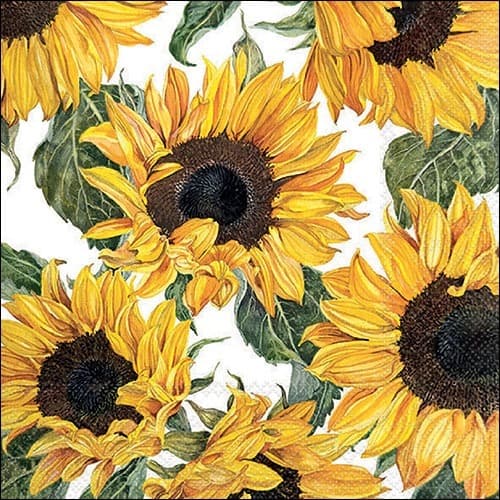 Guardanapo para Decoupage Cod99 - 2 Unidades - Guardanapo para Artesanato em madeira, MDF, chinelo, Etc..