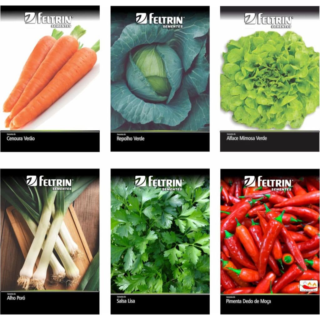 Kit 10 pacotes de Sementes de Hortaliças, Verduras, Pimentas, Ervas, Flores, Frutas, Temperos