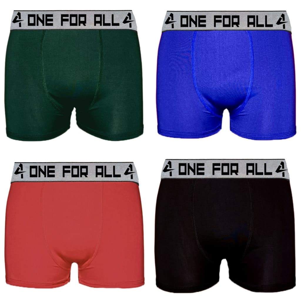 Kit 10 cuecas MARCAS ALEATÓRIAS microfibra cores variadas Boxer Adulto