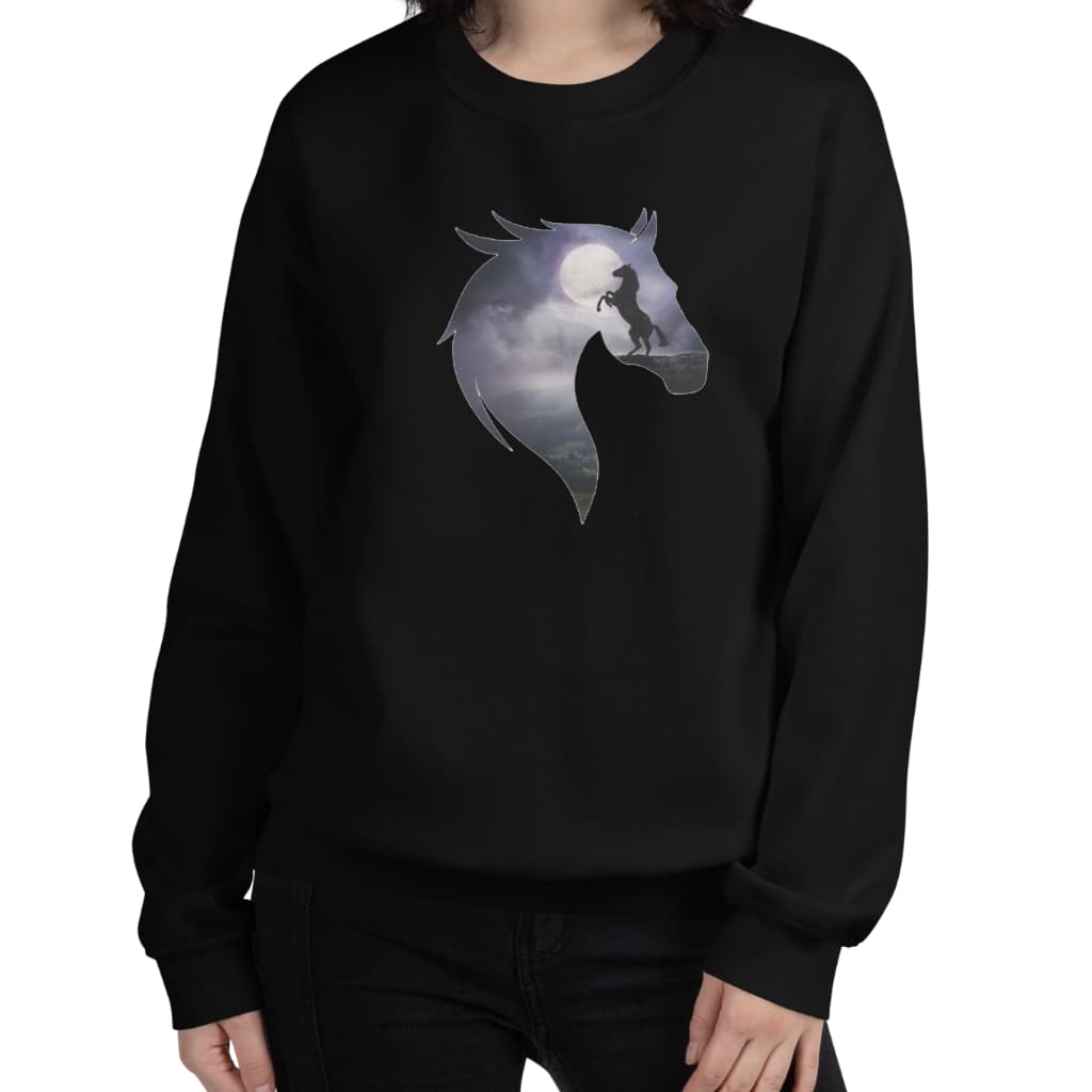 Moletom  Careca Sombreados Gola Redonda Sueter Flanelado Masculino E Feminino