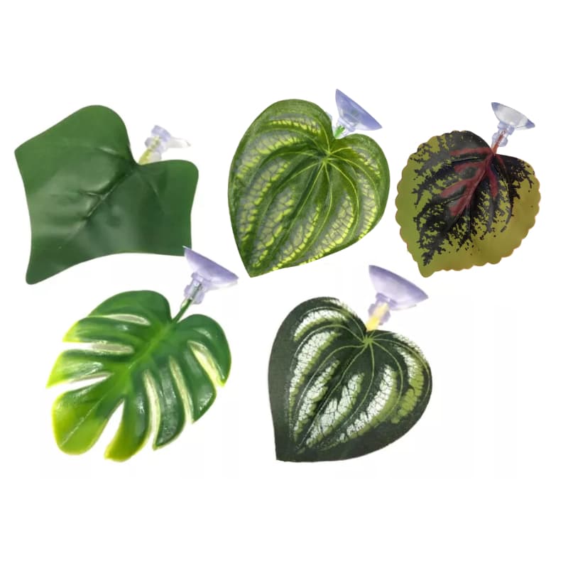 Folha De Descanso - Cama Para Peixe Betta - Lester