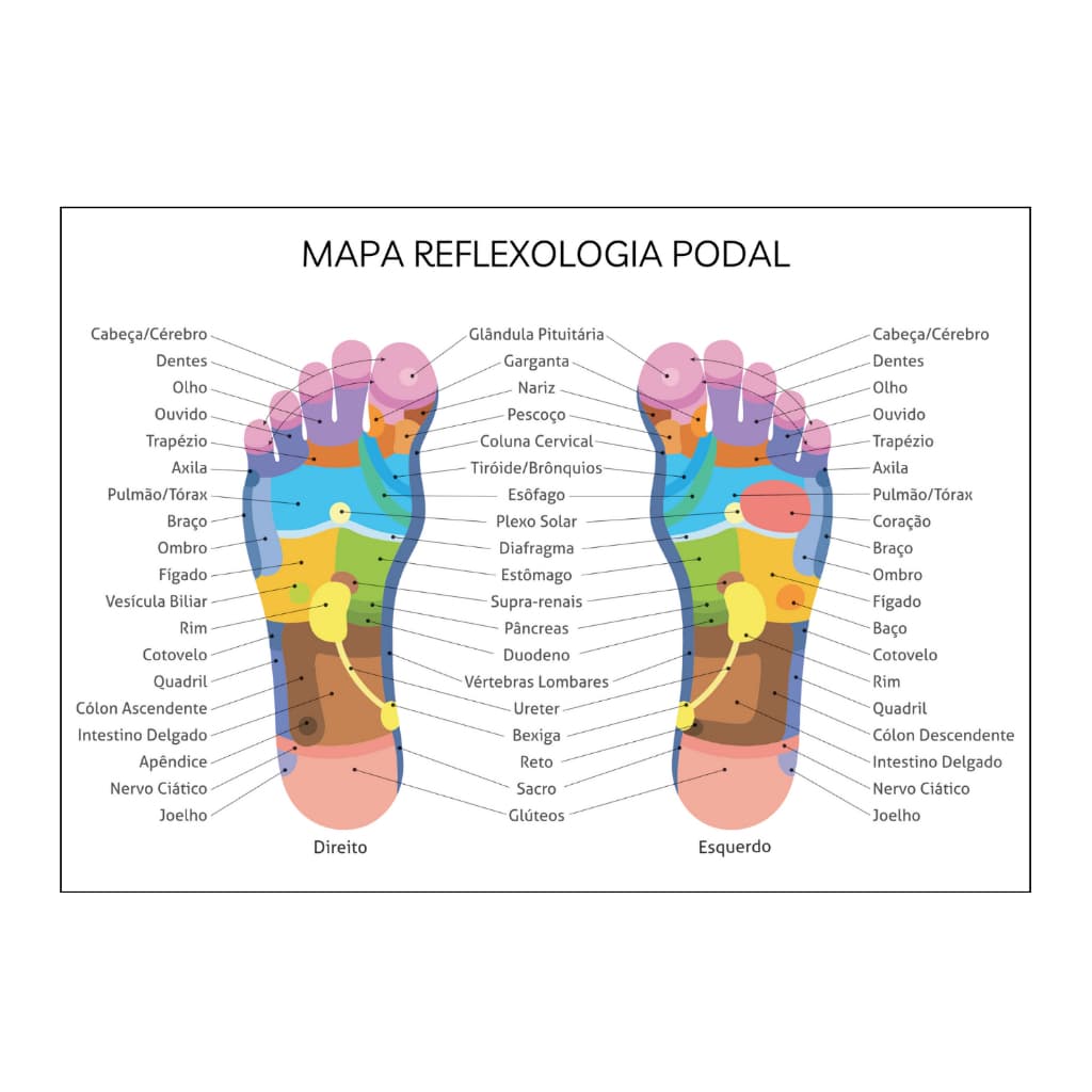 Mapa De Reflexologia Podal Áreas Reflexas Dos Pés Plastificada Folha A4