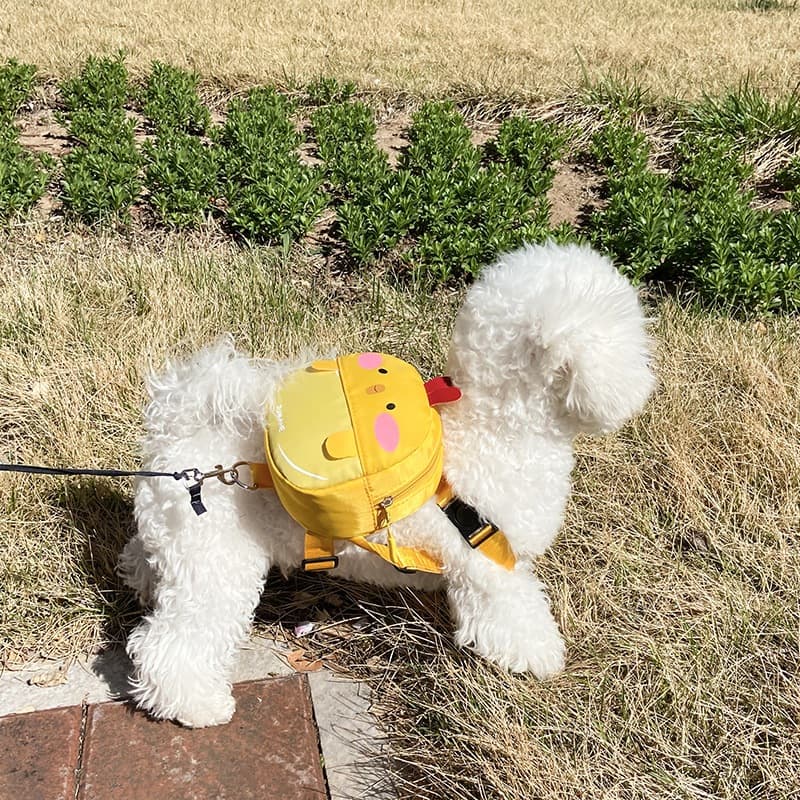 Mochila Pet Para Cachorro Cães Gatos Coleira Peitoral COM GUIA Mini Saco De Ombro Bolsa024-118