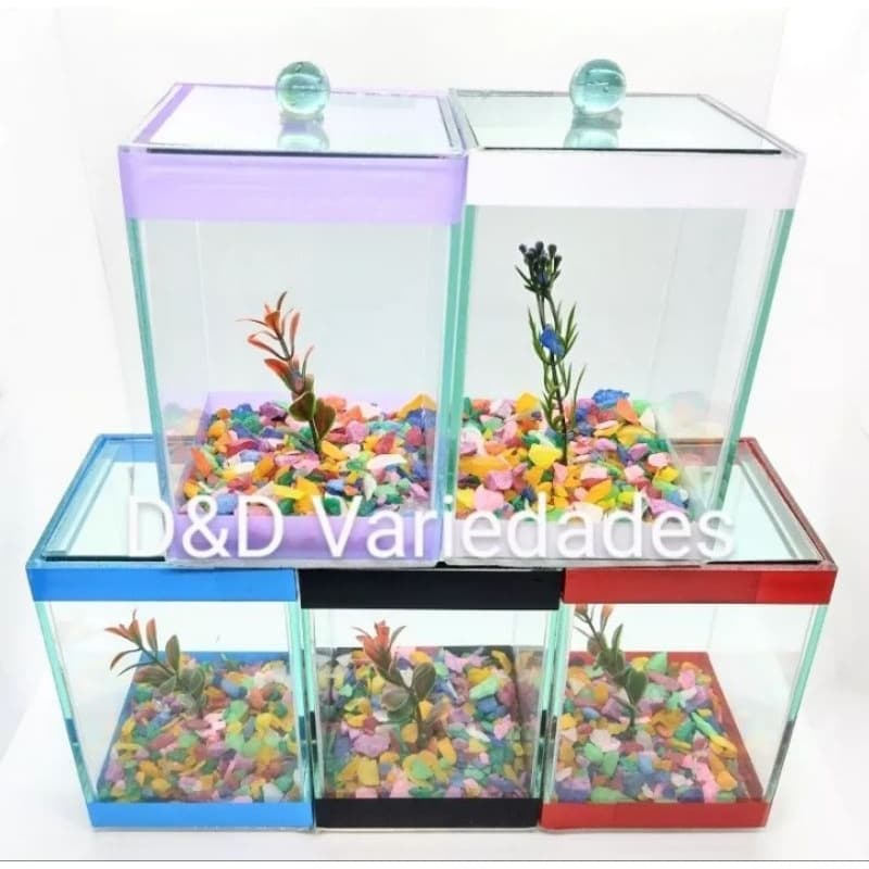 aquário beteiras lembrancinha para aniversário 10x10x13 para peixe betta kit com 6 und