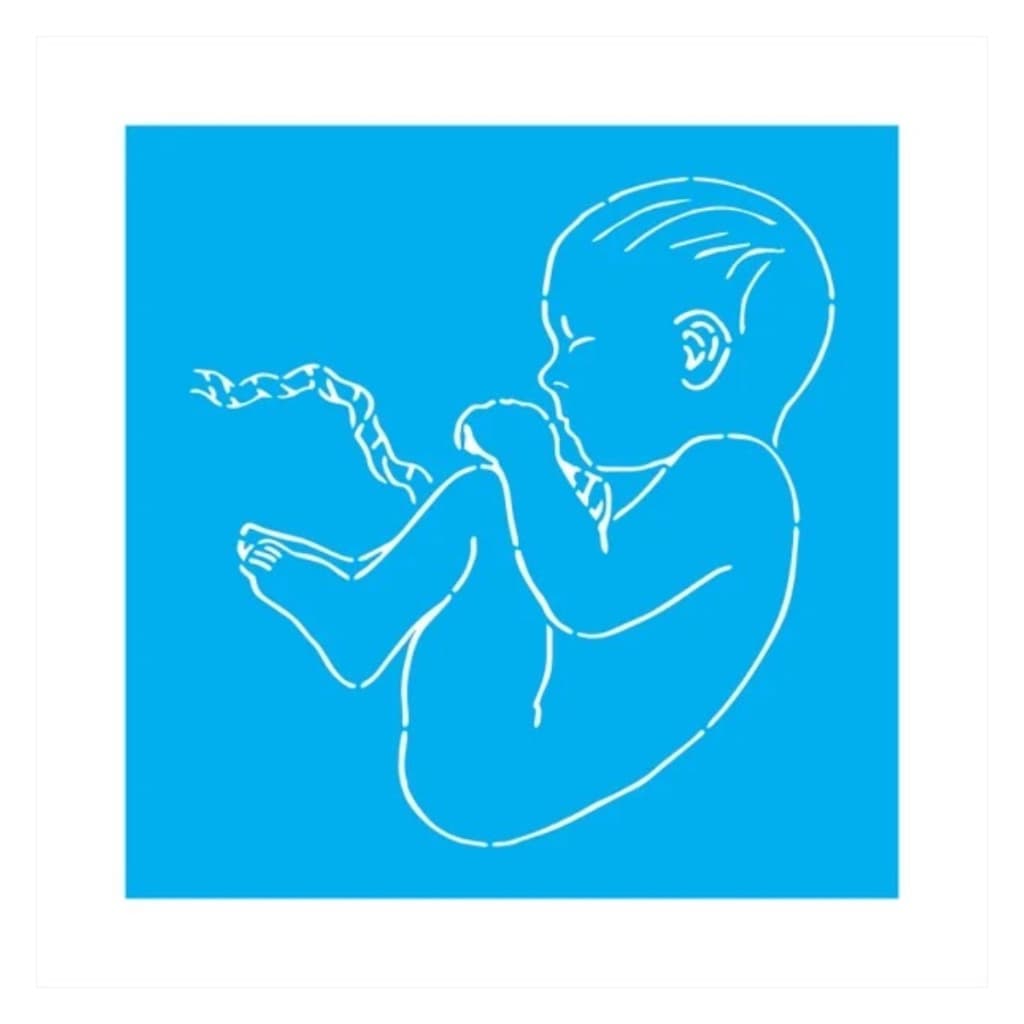 Stencil Para Pintura Gestacional, Molde De Pintura 30cm x 30cm BLACK FRIDAY