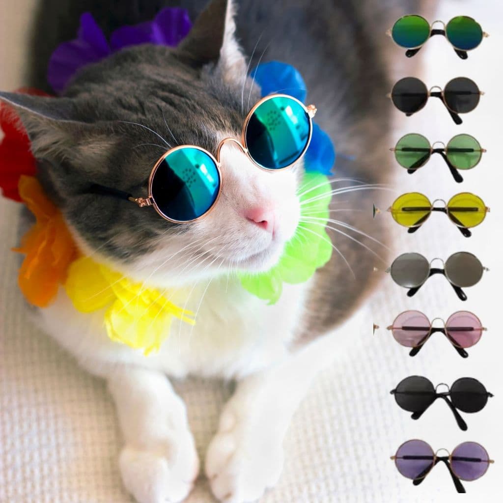 Óculos Escuros Divertidos para Pets