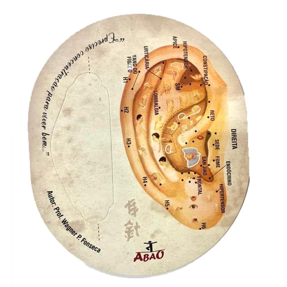 Gabarito Acupuntura Auricular - Prof Wagner P Fonseca
