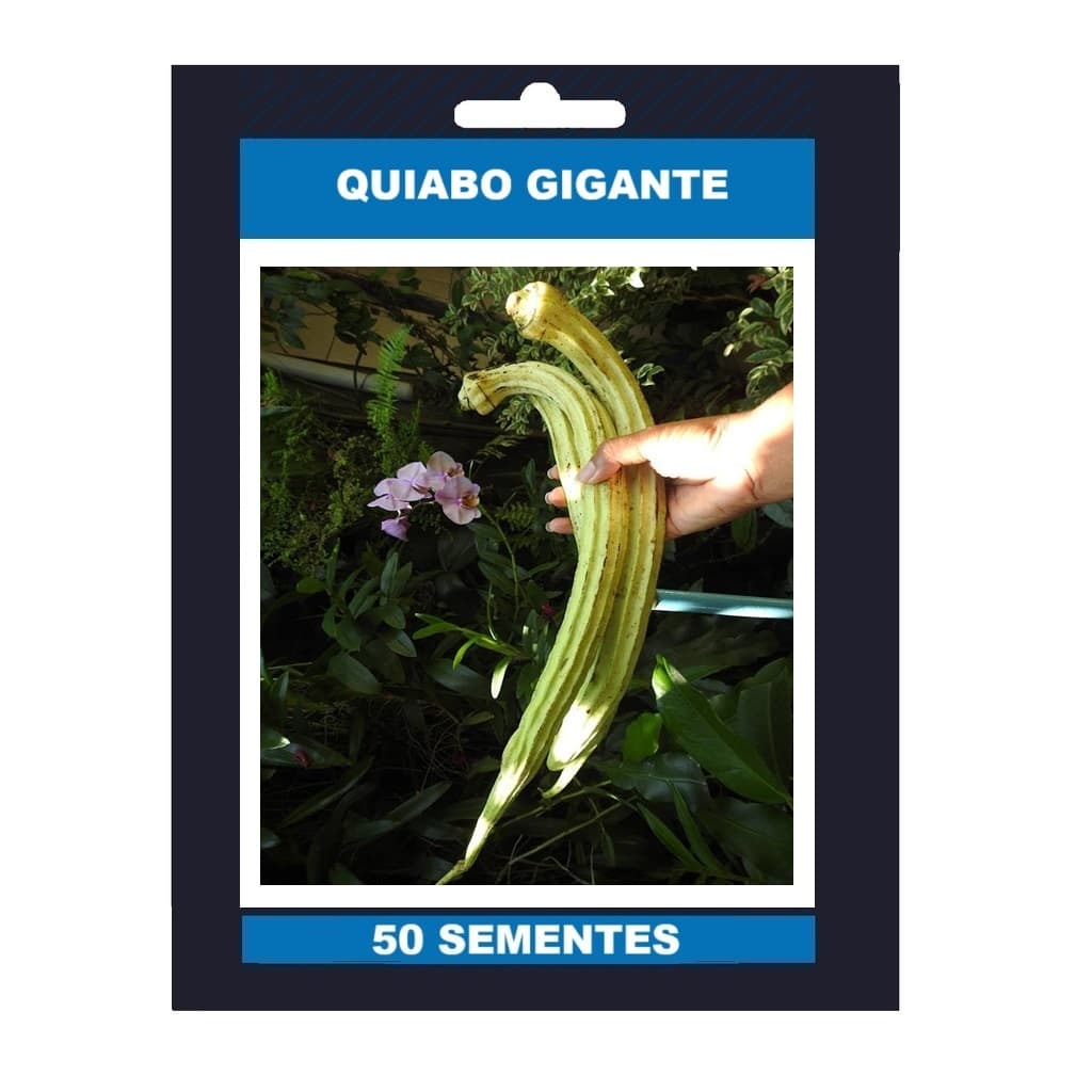 50 Semente Quiabo Big Gigante Cm 45 Até