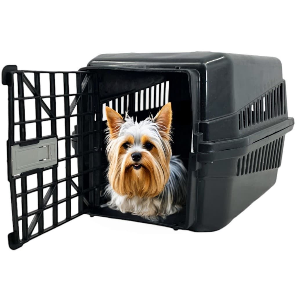 Caixa De Transporte N2 Pet Viagem Para Cachorros Gatos Coelhos