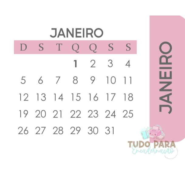 Abas adesivas com calendário (sem divisórias) 2025 ou 2026 para planner, agenda e afins