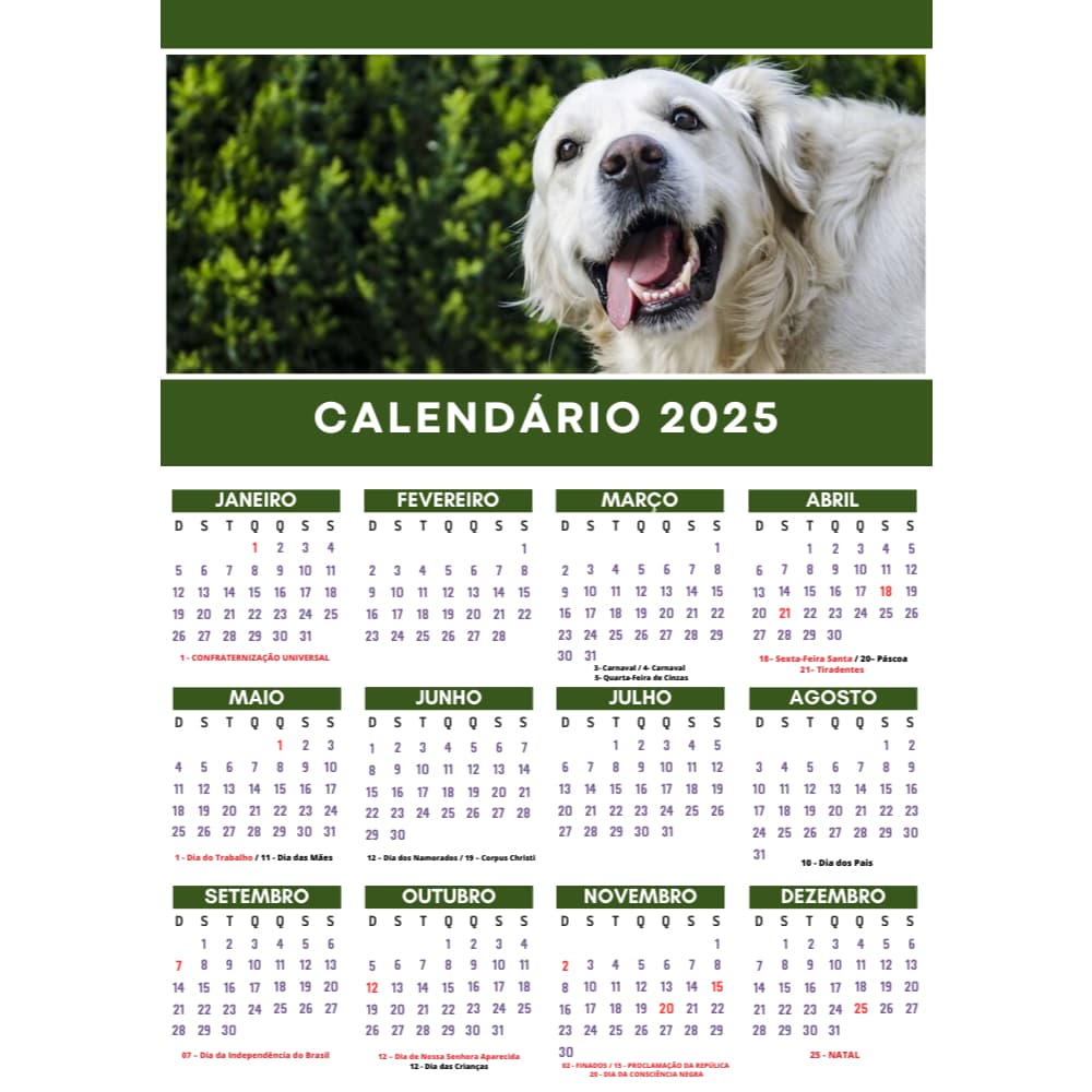 Calendário 2026 de Parede FOSCO