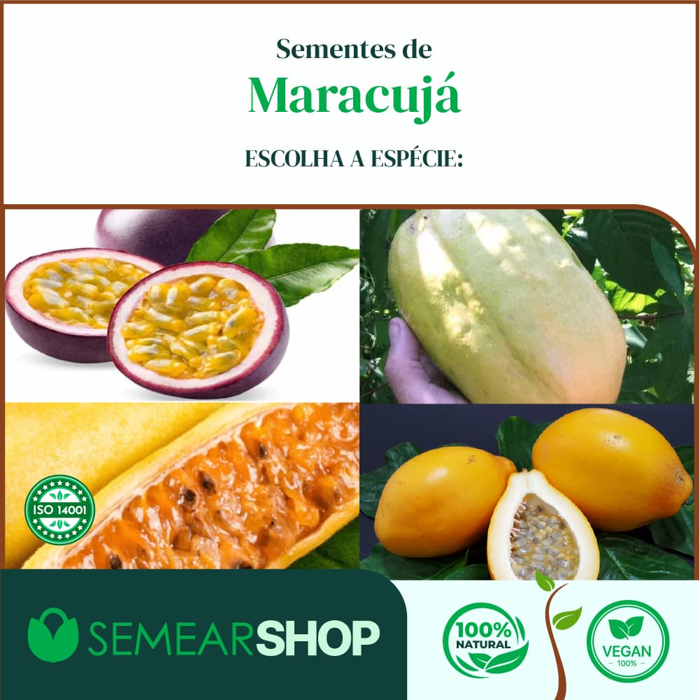 Sementes de 4 Tipos de Maracujá Separados