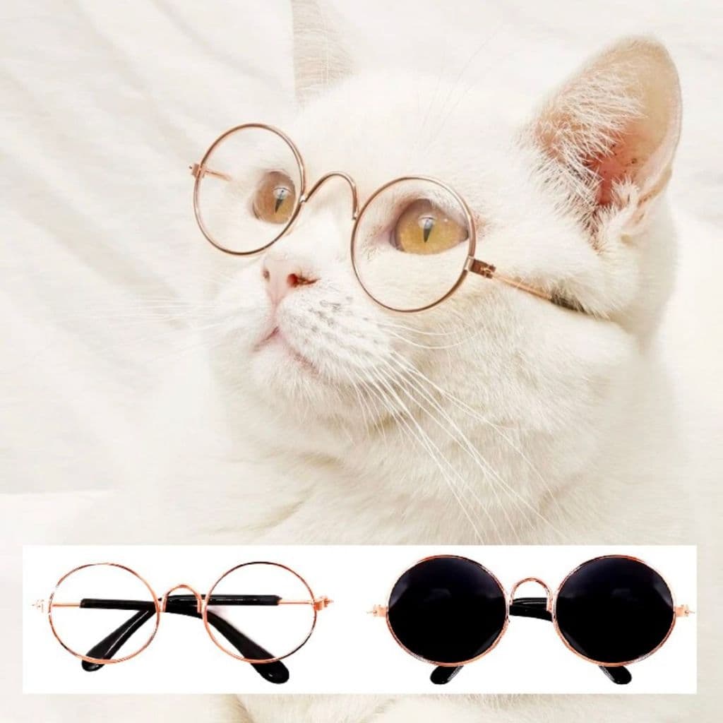 Óculos gatos cachorro bonecos amigurumi