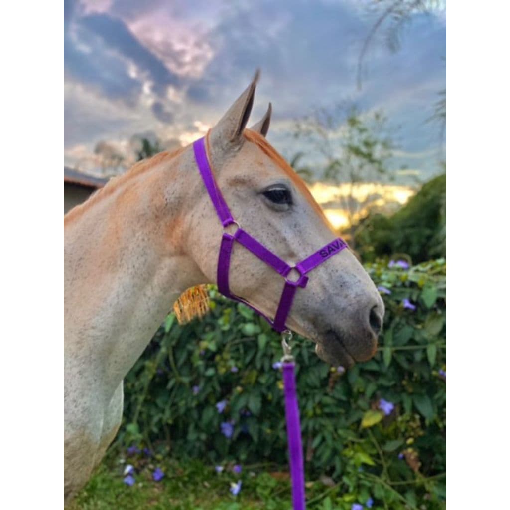 Cabresto Para Cavalo - Escolhe O Nome A Ser Bordado