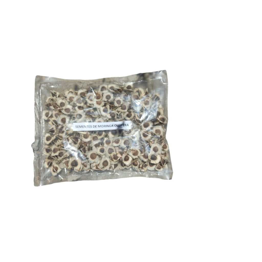 Sementes de Moringa Oleifera - 500 Sementes
