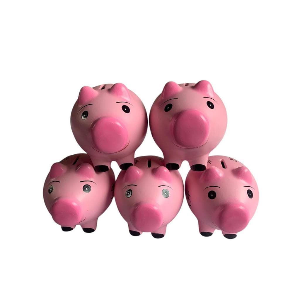 kit Jogo 5 unidades Porco  Porquinho Cofre Cofrinho Decoracao Festa em Ceramica