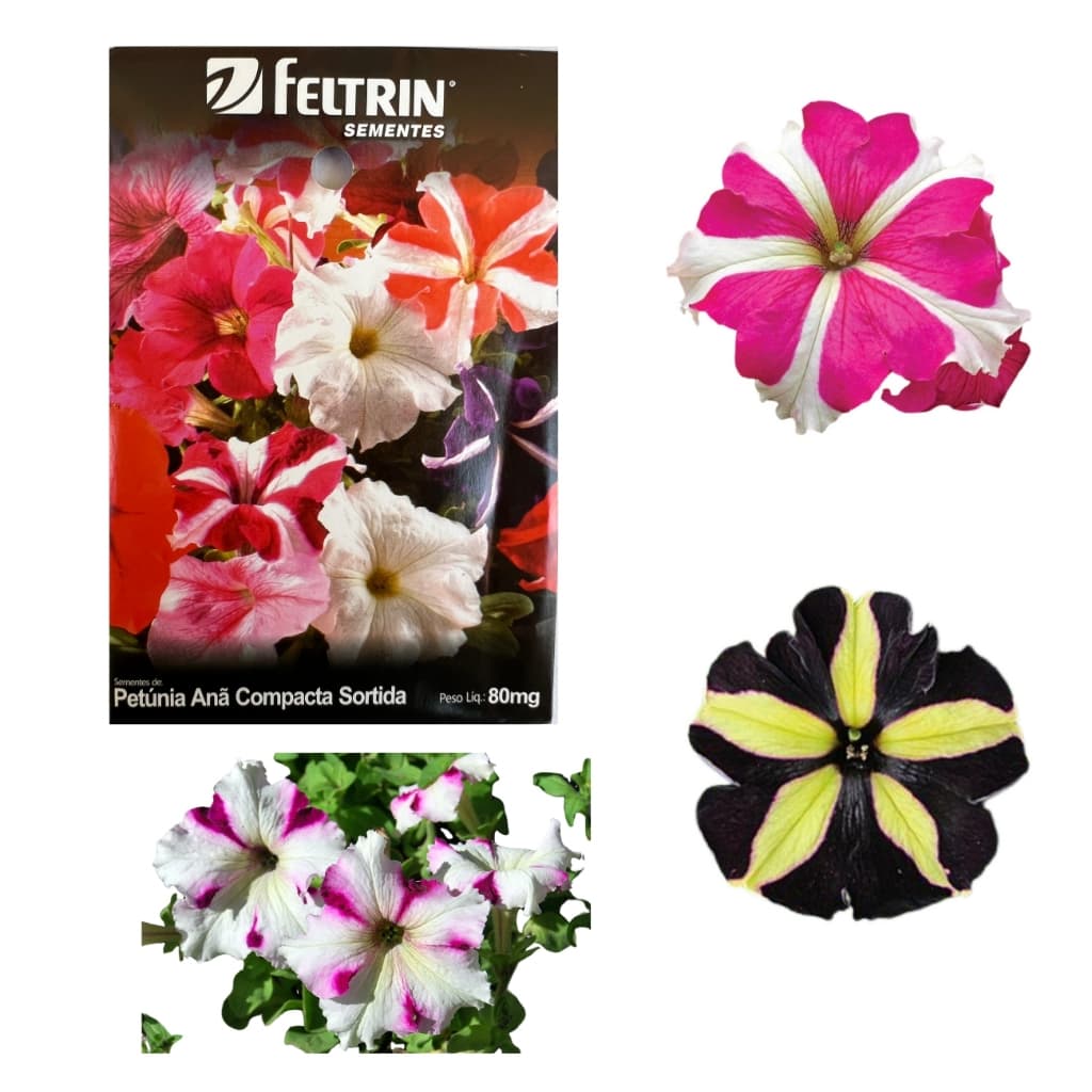 Até 3000 Sementes de Petúnias Sortidas - Feltrin