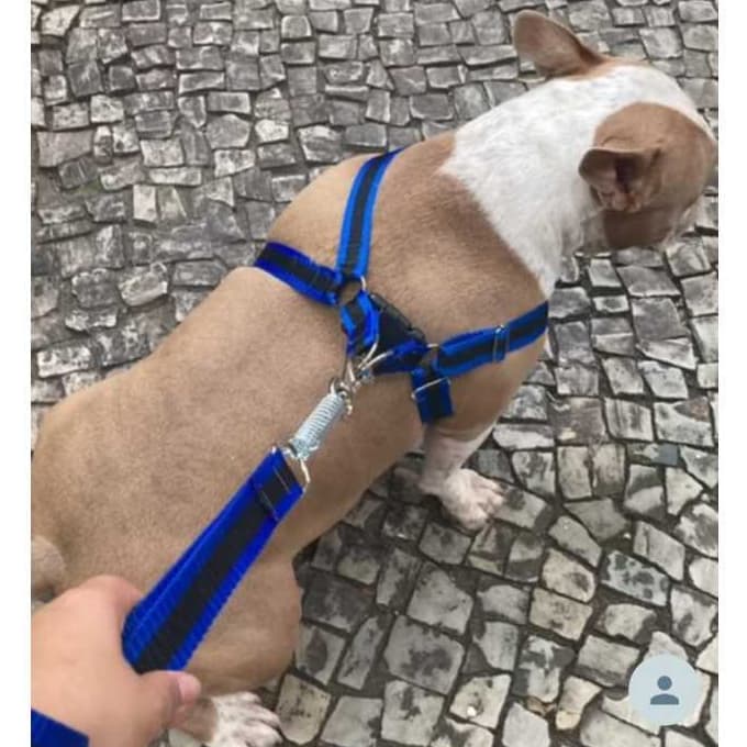 Peitoral de cachorro grande médio ou pequeno porte coleira guia Boxer Labrador Akita pastor pitbull