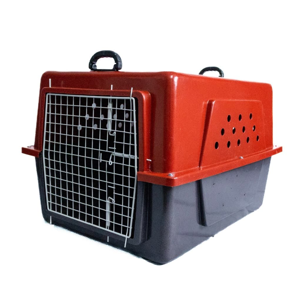 Caixa De Transporte Pet N°5 Grande Porte Padrão Voos Aéreos