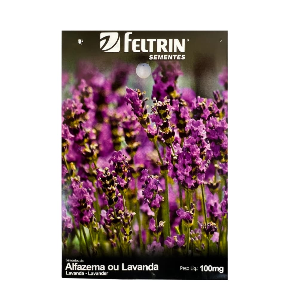 Até 240 Sementes de Lavanda - Alfazema - Feltrin