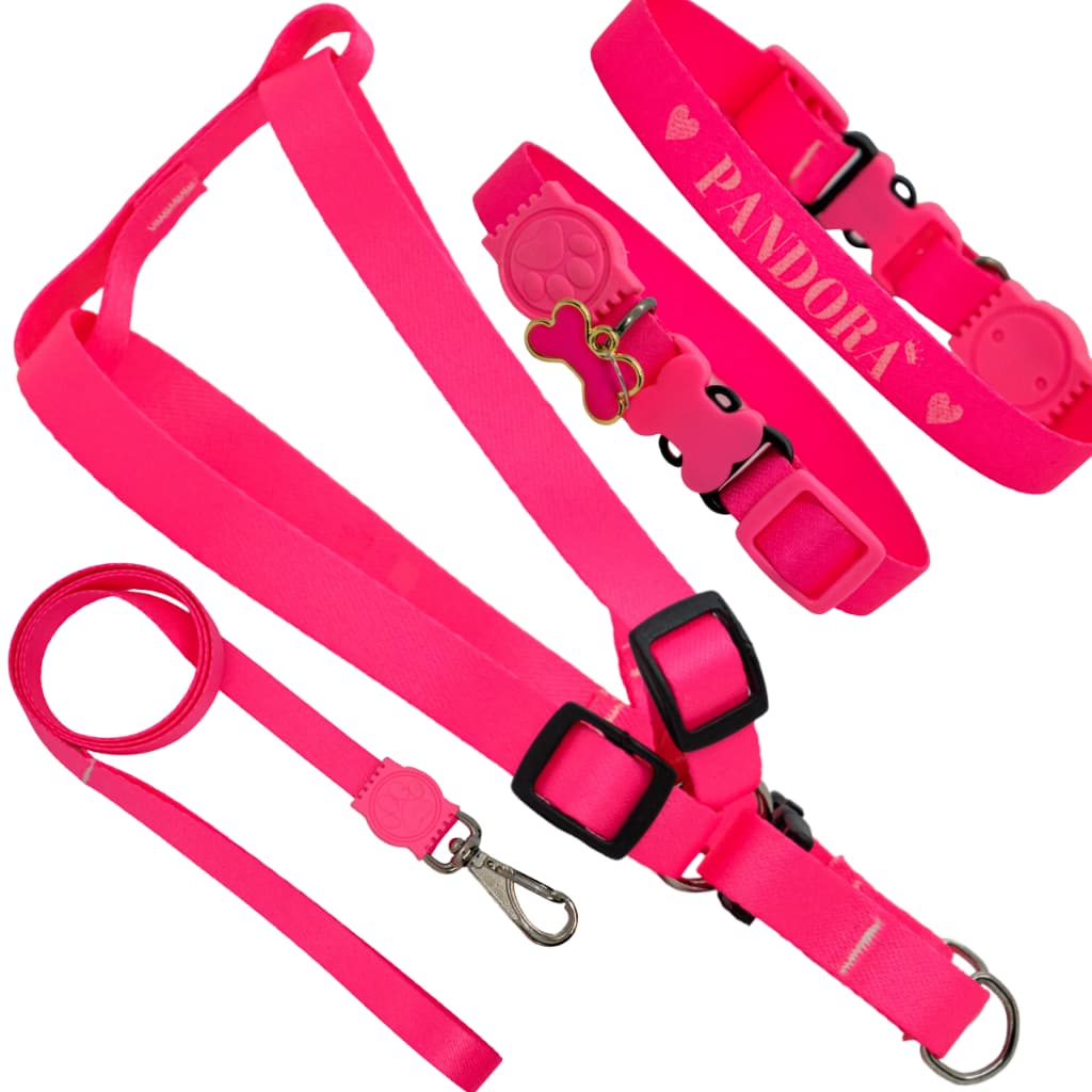 coleira com nome kit personalizado peitoral com guia cachorro