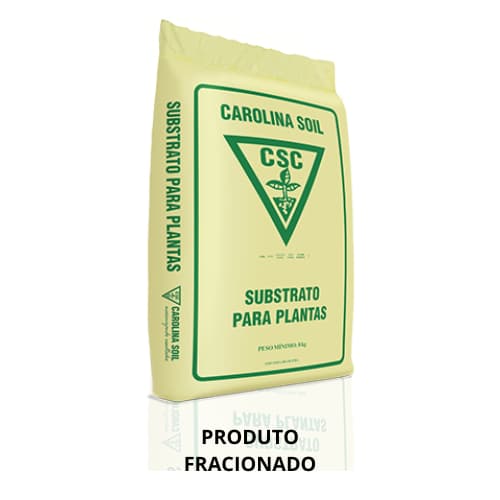Substrato germinação rosa do deserto Carolina Soil