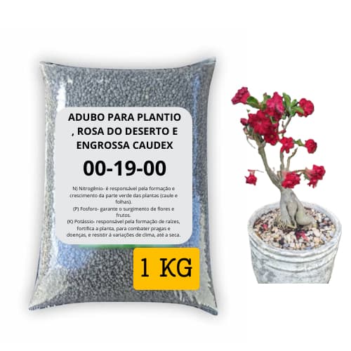 Adubo Fertilizante Engrossa Caudex - Rosa Do Deserto 1KG