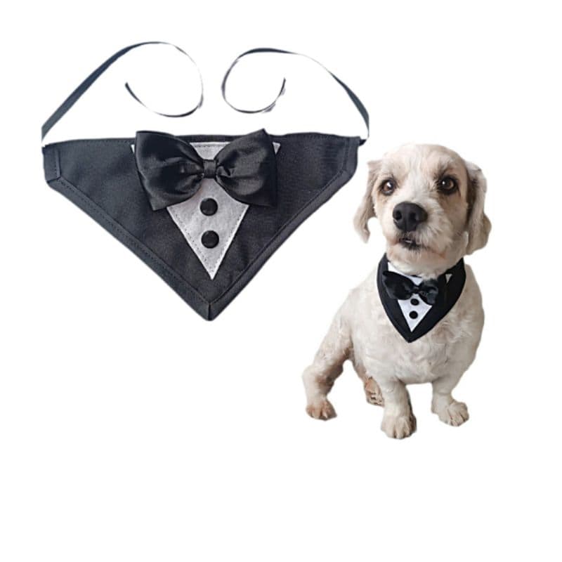 Bandana Pet Smoking Festa De Casamento