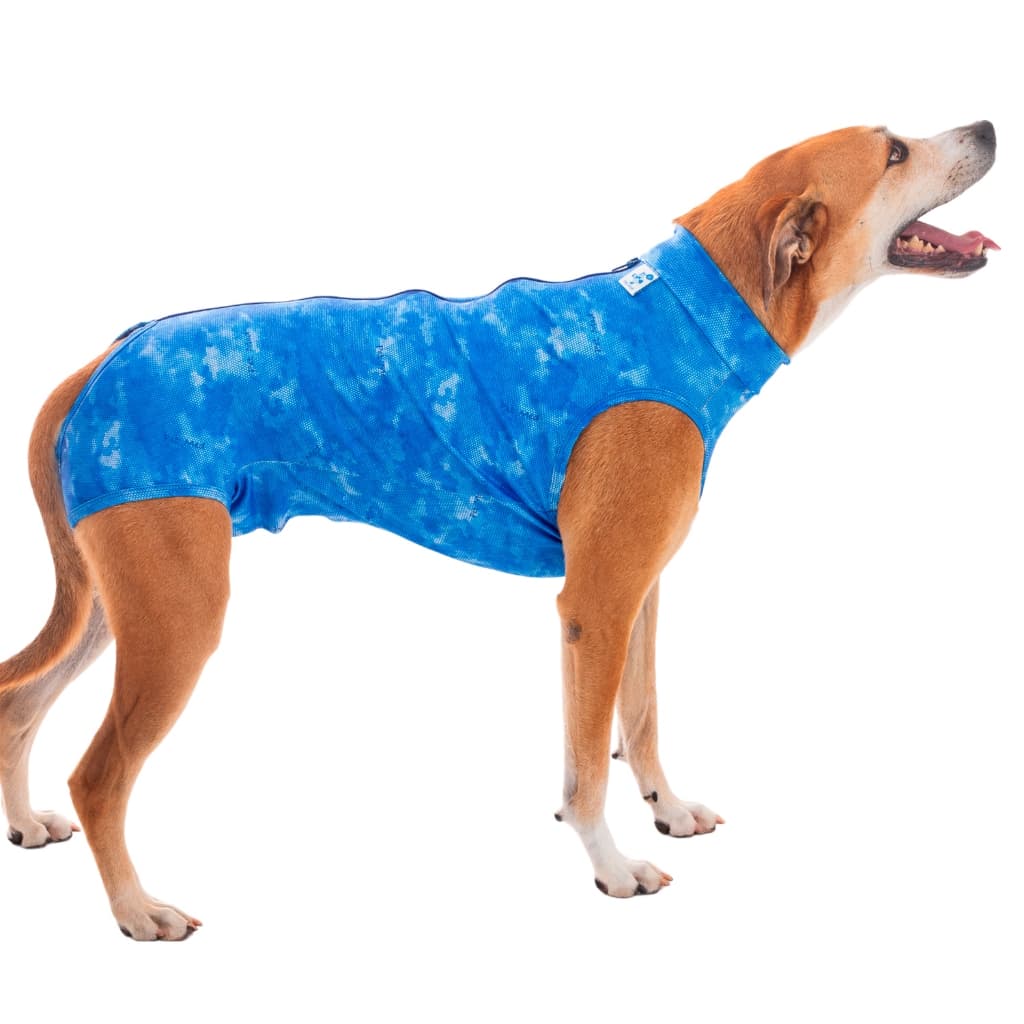 Roupa Protetora Pós Cirúrgica Para Cãe Machos e Fêmeas