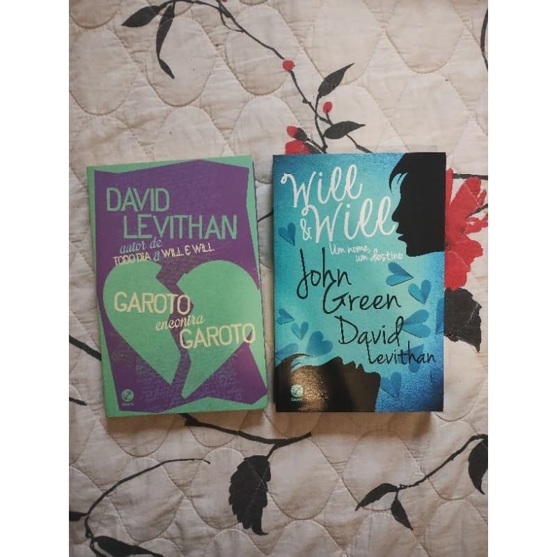 Kit de livros David Levithan lgbt / Garoto encontra garoto / Will e Will