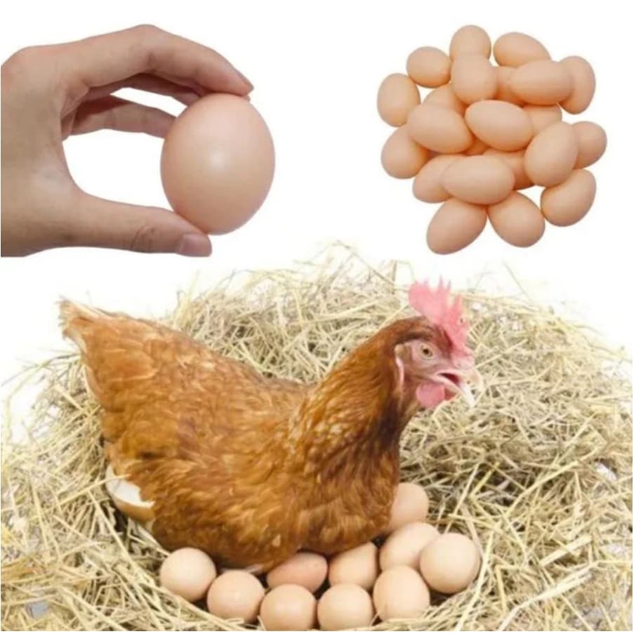 Kit 12 Ovos Falsos De Plástico Para Indez Galinha Caipira