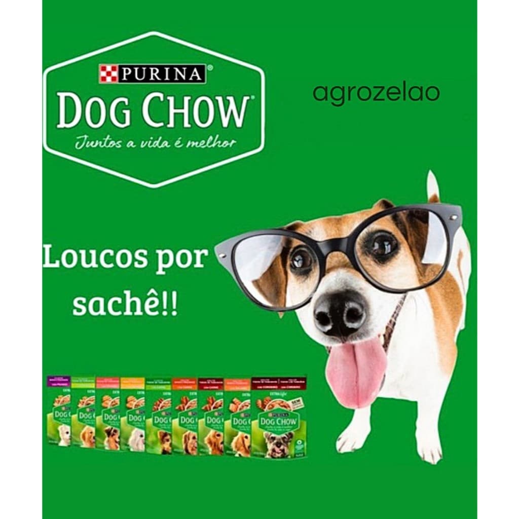 Sache Dog Chow para Cães 100g 15 UNIDADES
