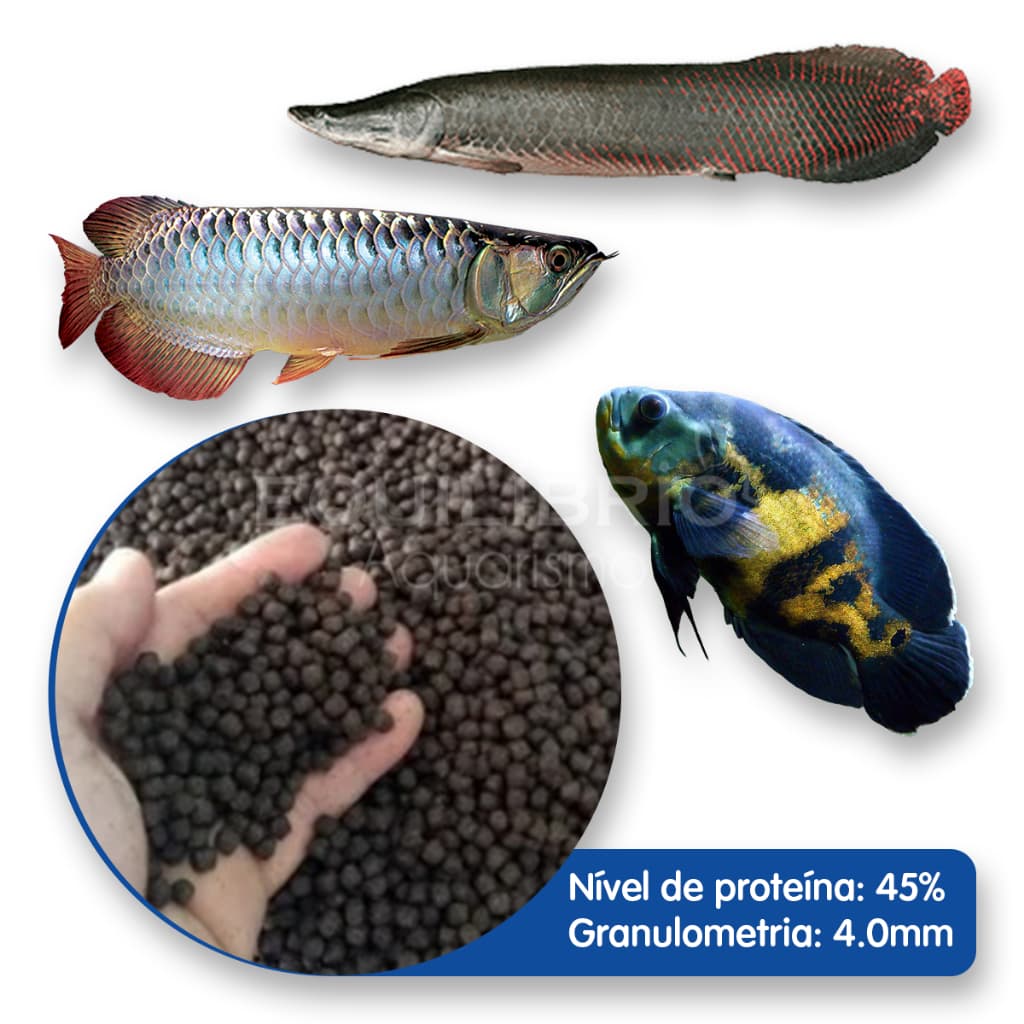 Ração p/ Peixes Carnívoros, Pirarucu, Oscar, Aruana e outros - 250g