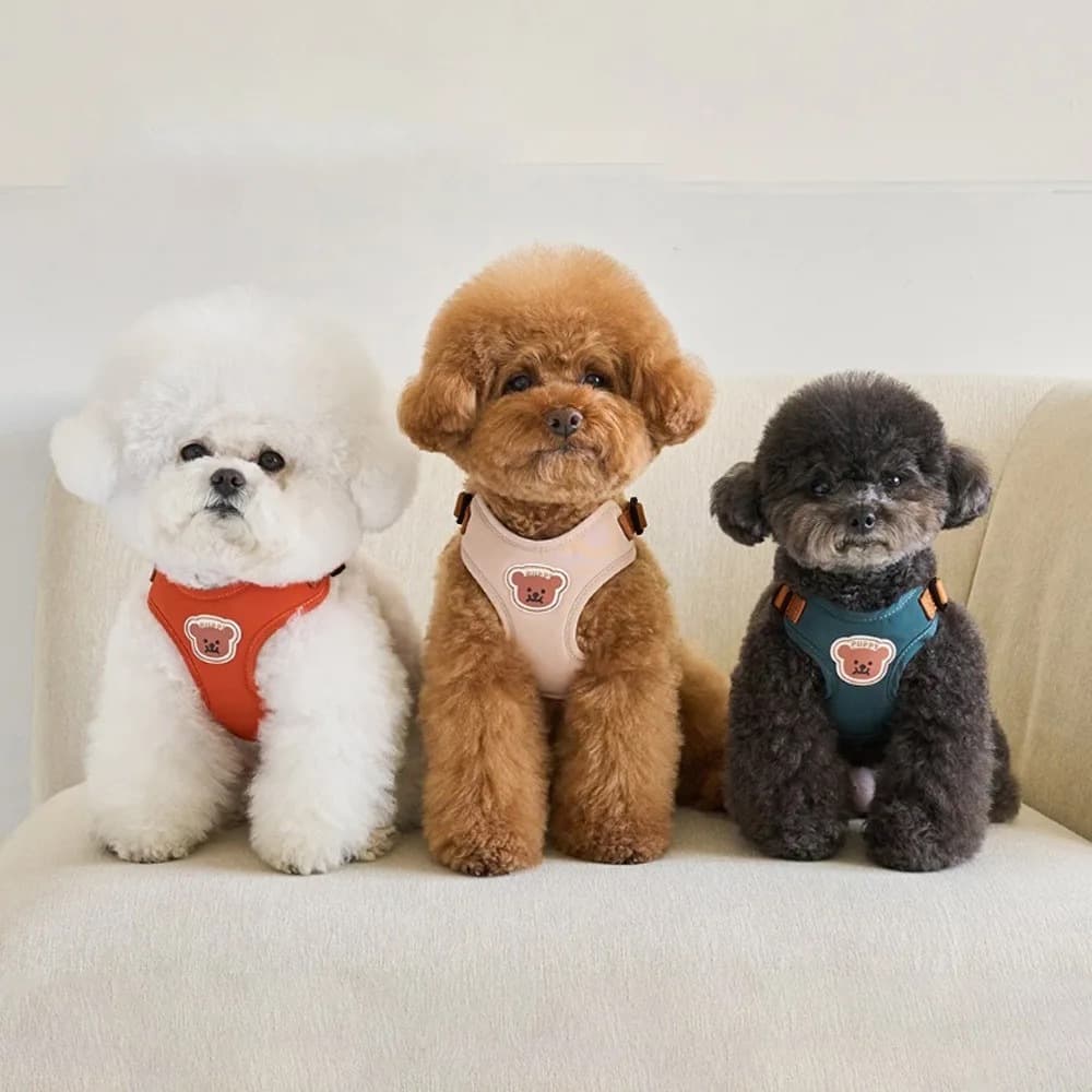 Coleira peitoral com guia desenho de ursinho para cachorro e gatos e outros pets animais estimacao