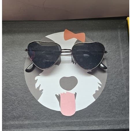 Óculos Pet _ Cachorro e gato - óculosde blogueiro, estilo juliet.  Tamanhos pequeno e Grande