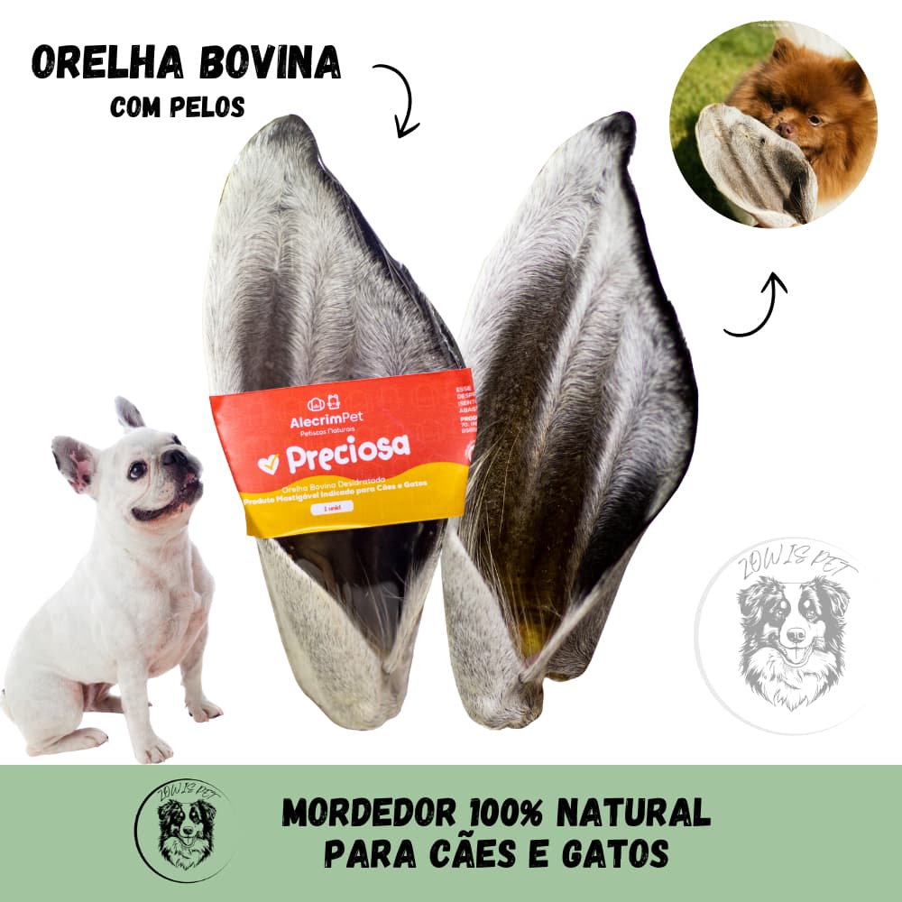 Orelha Bovina Desidratada Preciosa Mordedor 100% Natural Para Cães 1 e 2 Unidade AlecrimPet