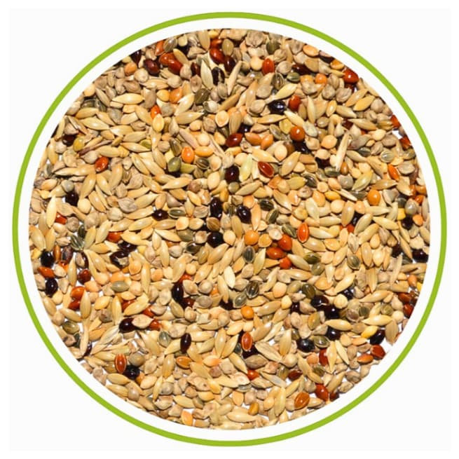 Mistura para Coleiro 5kg - Premium - Top Bird - Sem Extrusados - Papa Capim.