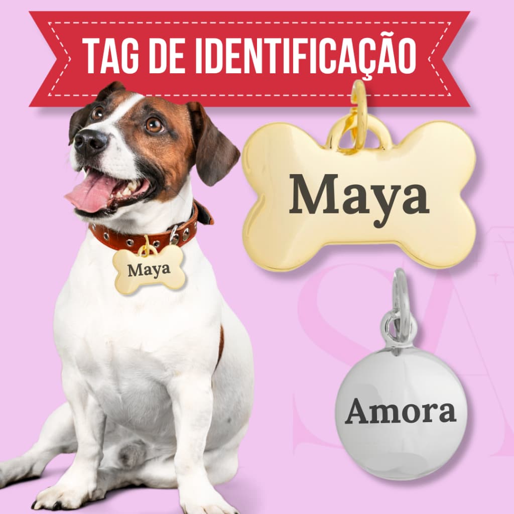 Placa de Identificação Gravada Pet Cachorro ou Gato Nome e Telefone