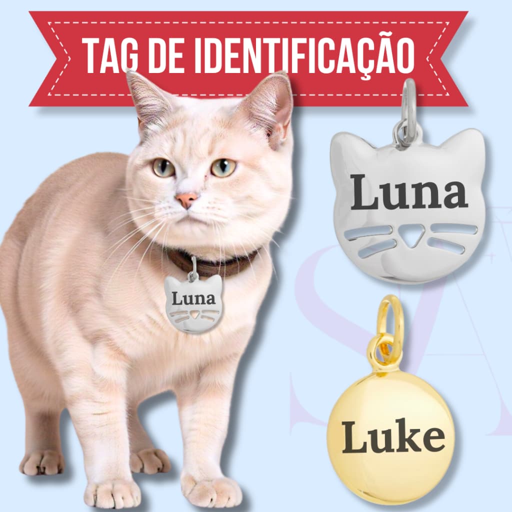 Plaquinha Identificação Pet Dourado ou Prata Vários Modelos Telefone e Nome Gravado