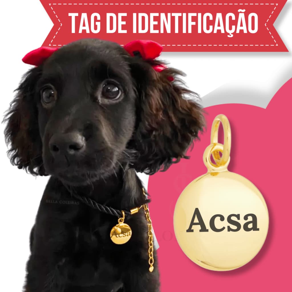 Tag de Coleira Pet Identificação Personalizado Nome e Telefone Vários Modelos