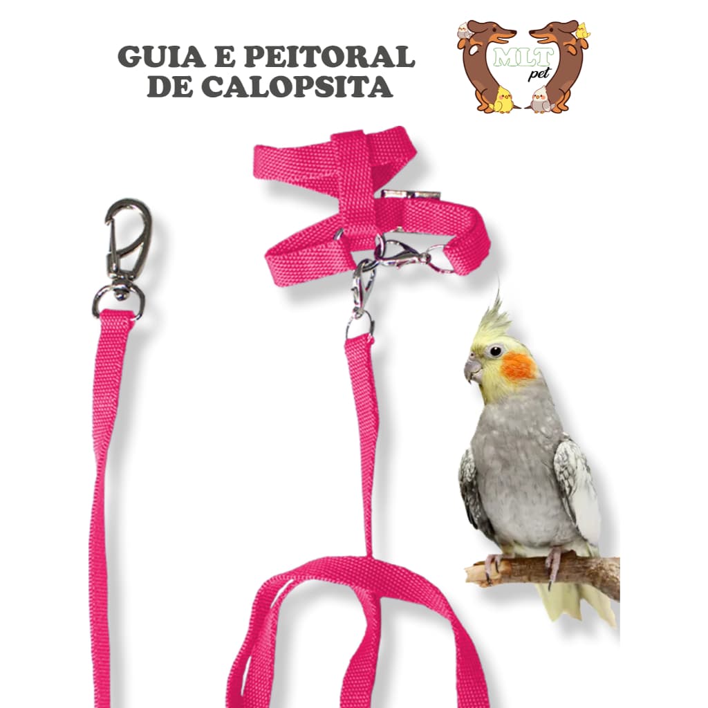 Coleira Peitoral para Calopsita c/ Guia Regulável Mlt Pet