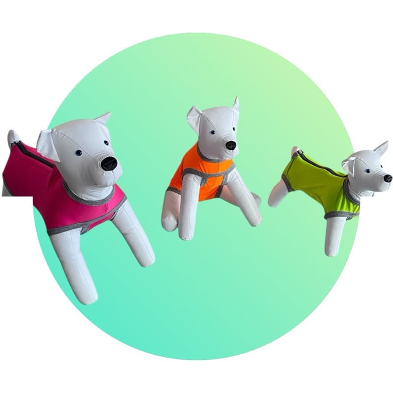 Roupa Pós Cirúrgica Para Cães