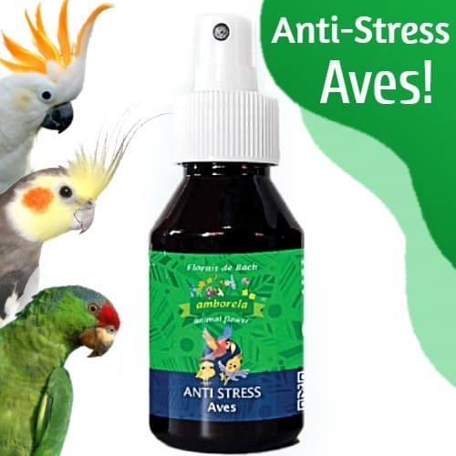 Floral de Bach Legítimo Anti Stresse Depressão Tristeza Para Aves Passaro Papagaio Calopsita e Semelhantes