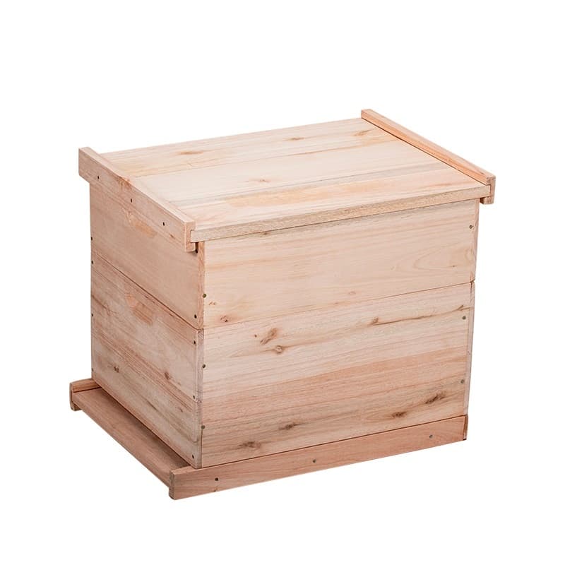 Caixa Abelhas Langstroth Eucalipto 1 melgueira sem arame